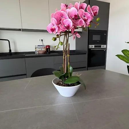 Le Calendule Luxury Apartment * Olbia